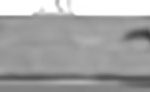 WP017